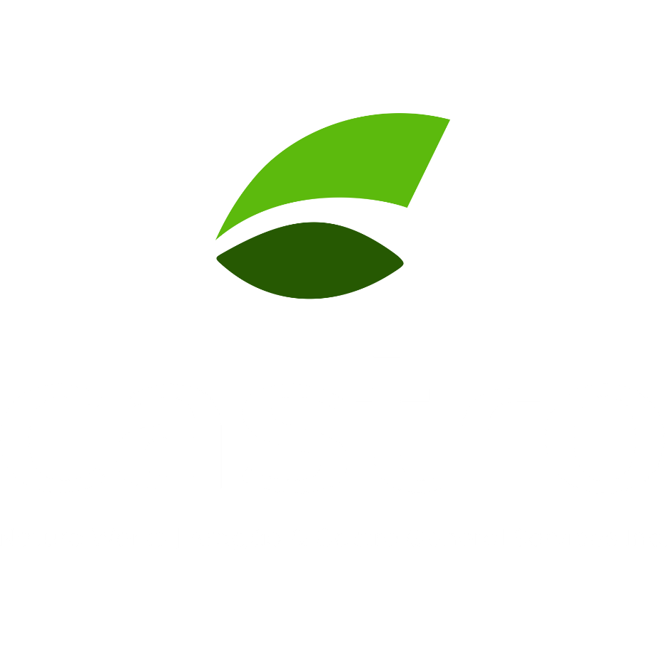 Design sem nome (19)