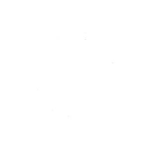 Design sem nome (12)